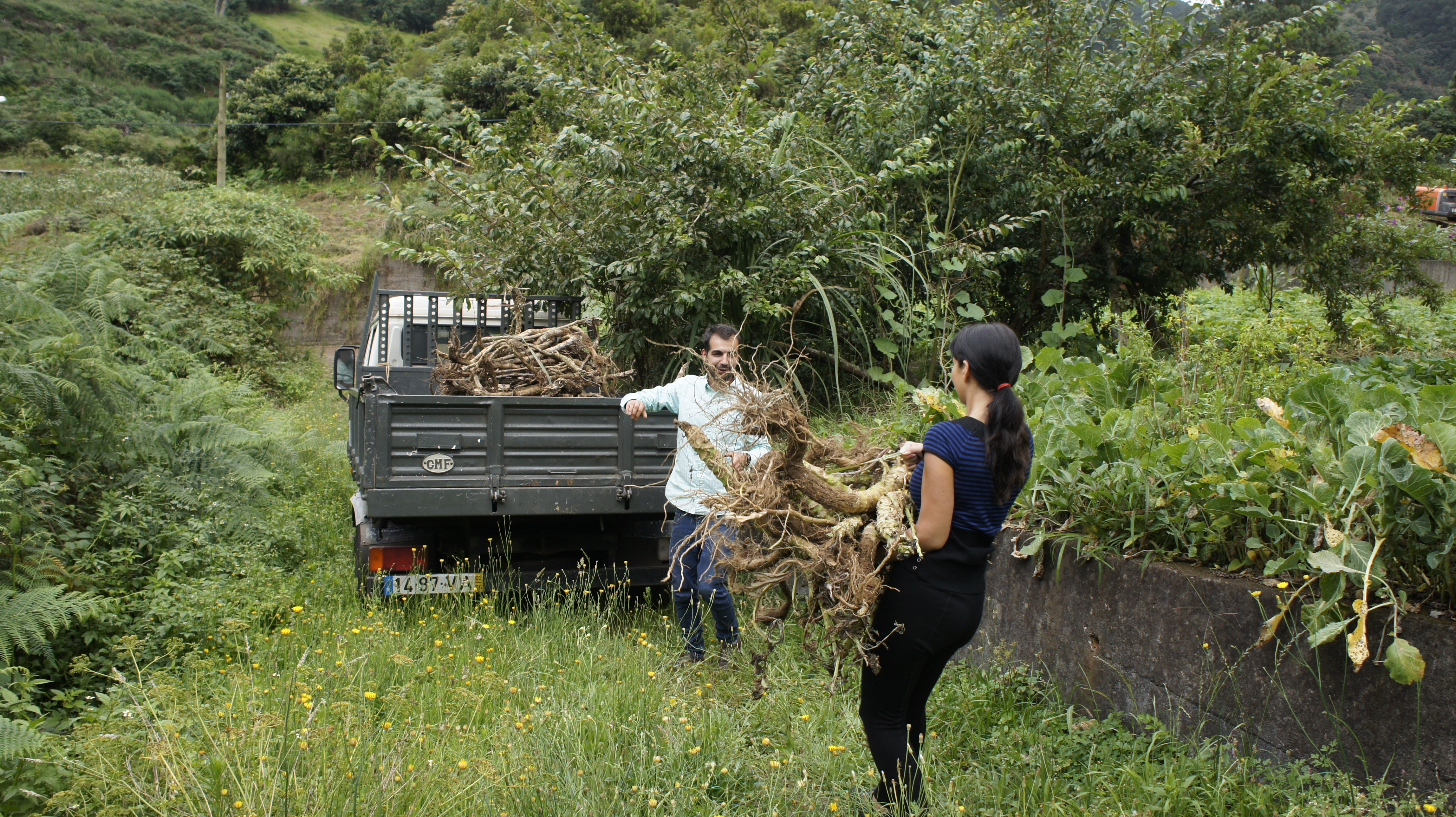 5   PORTAL   Making Of   Projeto Ilhéstico   Museu Quinta das Cruzes   2019 (9)